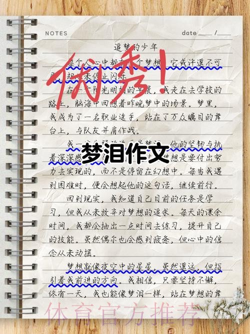 回望|中国之队的2017 梦里依稀有泪光 梦想不止在路上 回望|中国之队的2017 梦里依稀有泪光 梦想不止在路上